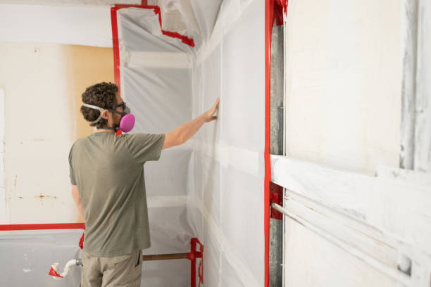 Mold Removal for HVAC Installations in Shinnston, WV