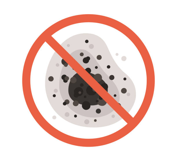 Professional Mold Removal in Shinnston, WV